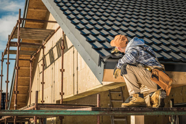 Best Roof Gutter Cleaning  in Adairsville, GA